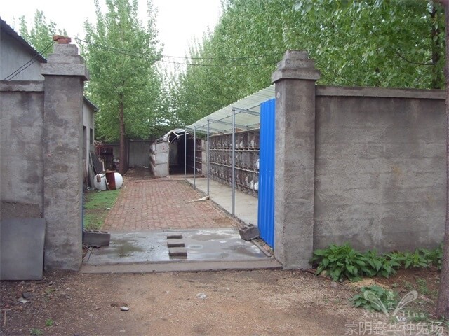 蒙陰縣匯鑫兔業(yè)合作社