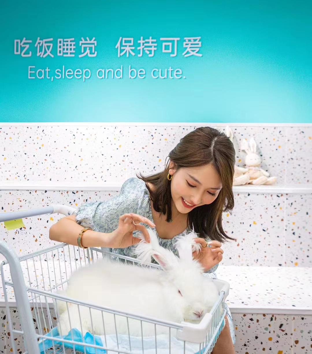 蒙陰長毛兔：安哥拉兔幼兔飼養管理