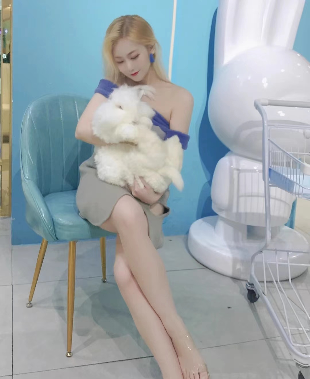 長毛兔的飼養流程必須要經過哪些？